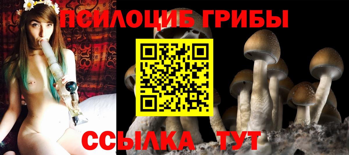 Псилоцибиновые грибы прущие грибы  Вход с VPN  Вольск 